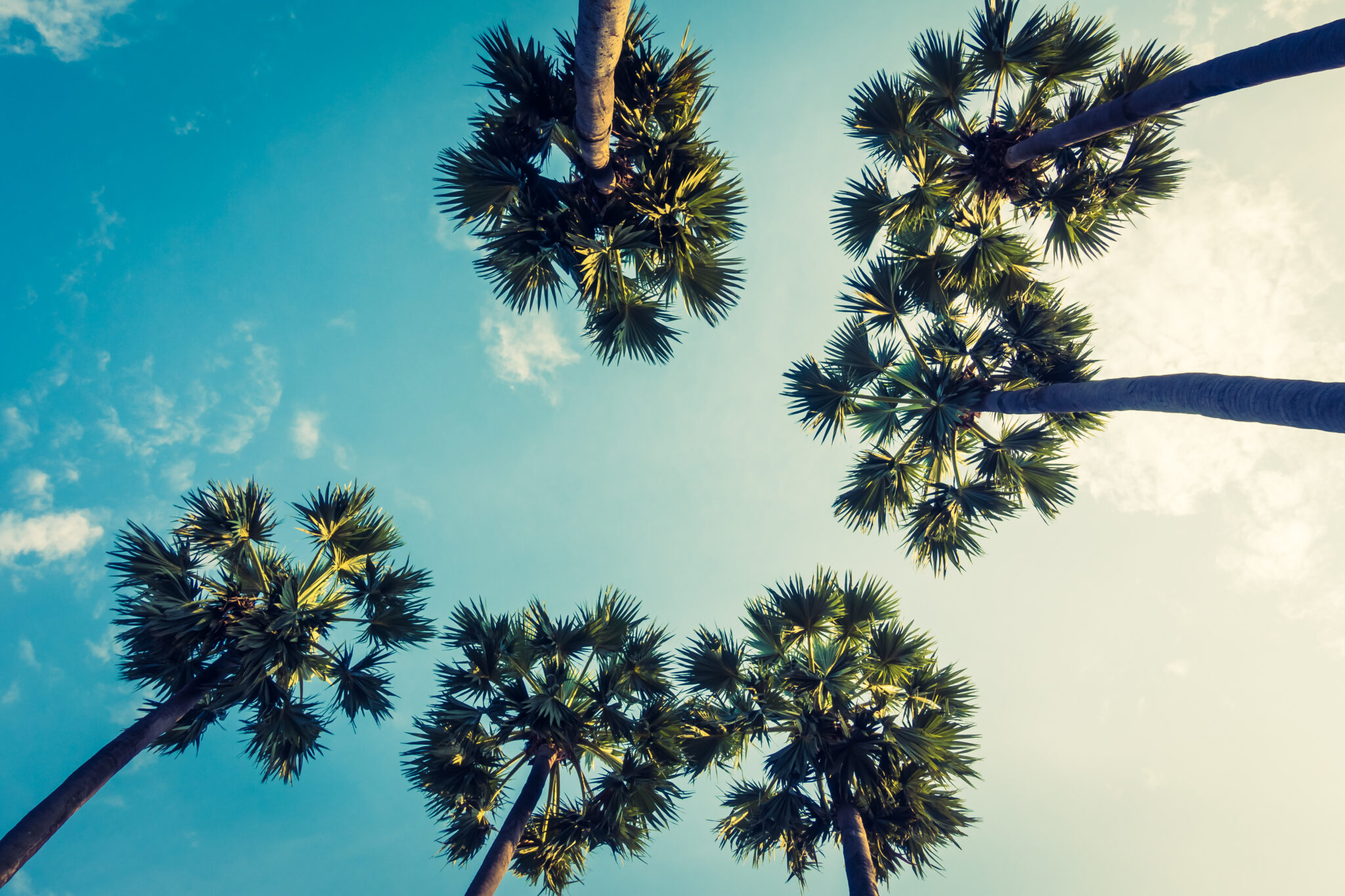 San Diego Bayfest & Mission Bayfest 2024 Experience the Fun